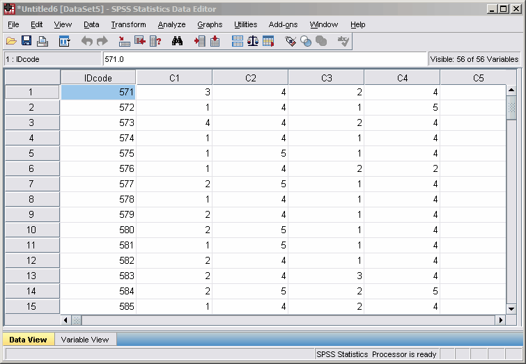 SPSSdataEditor1